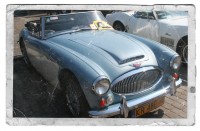 Austin-Healey 3000 z 1967r. Rafał Pliszka